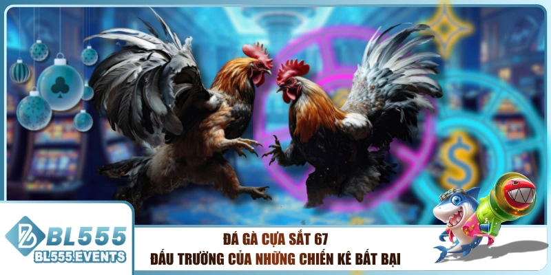 Đá Gà Cựa Sắt 67 | Đấu Trường Của Những Chiến Kê Bất Bại